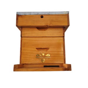 ISI Box